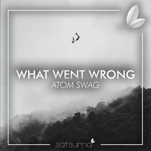 What Went Wrong - Atom Swag