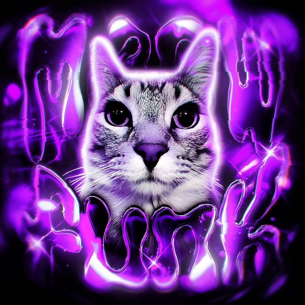 MEOW FUNK - Atxri & murvix & ISAXV & RONVXER