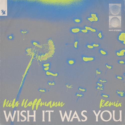 Audien feat. Cate Downey - Wish It Was You (Nils Hoffmann Remix)