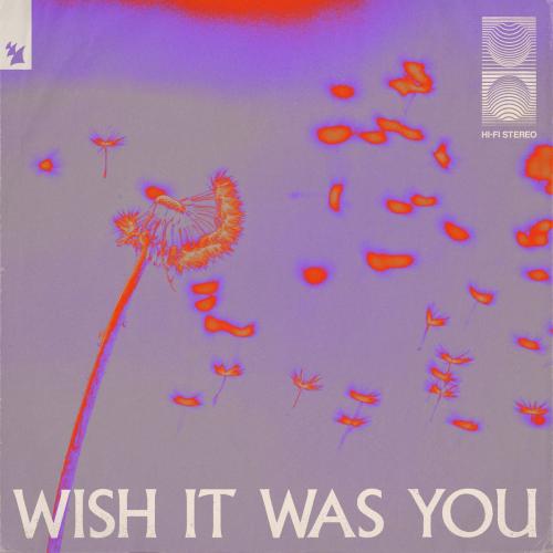 Wish It Was You - Audien