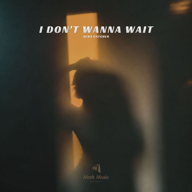 I Don't Wanna Wait - Aura Catcher