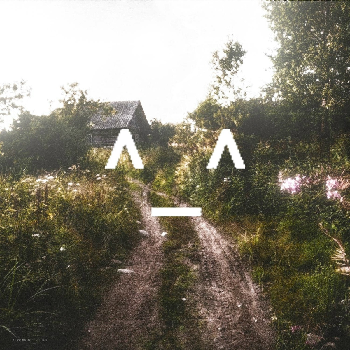 summer - auratoshi