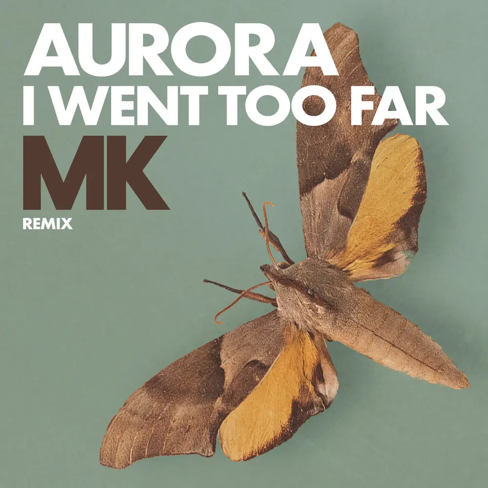 I Went Too Far (MK Remix ⁄ Radio Version) - AURORA, Mk