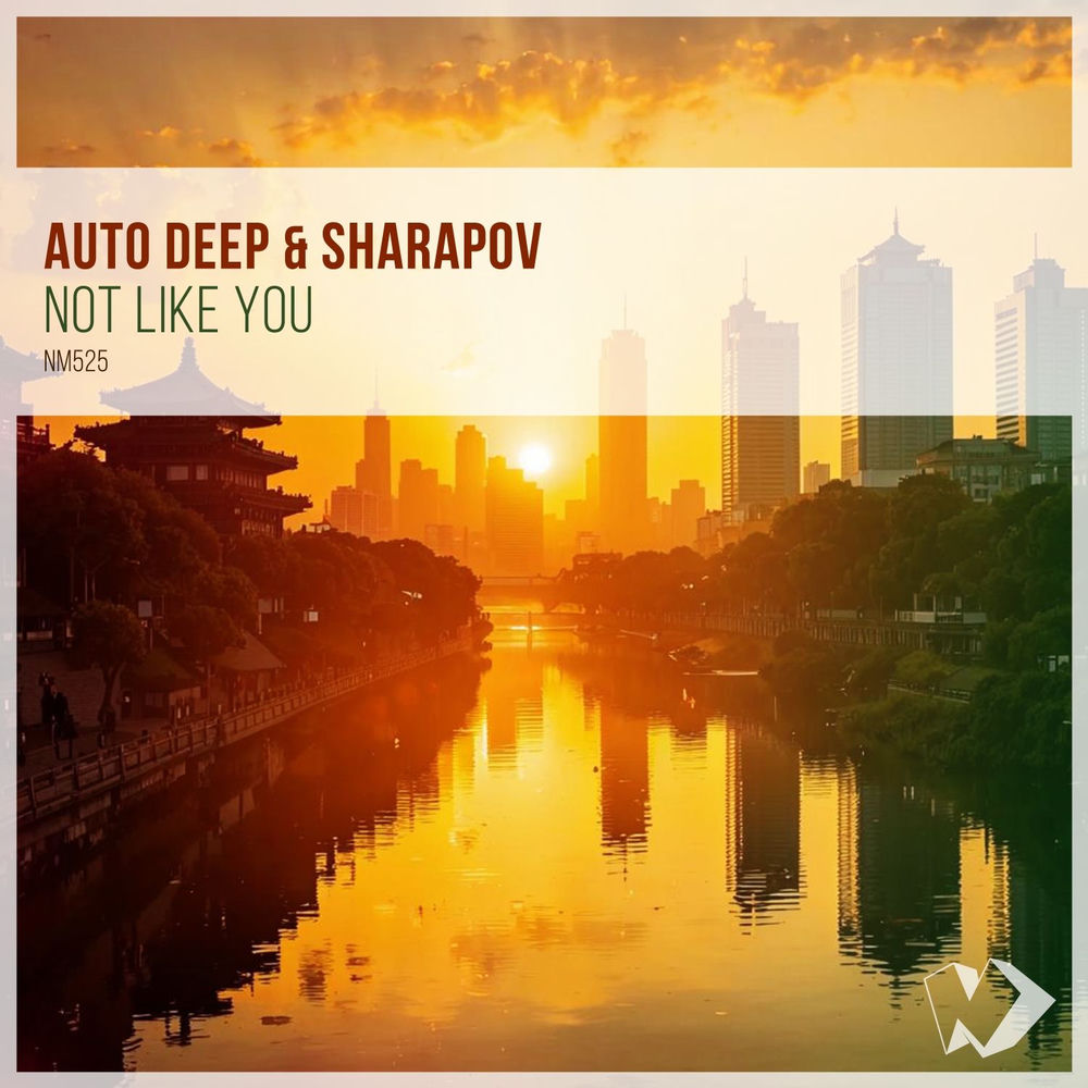 Not Like You (Extended Mix) - Auto Deep & Sharapov