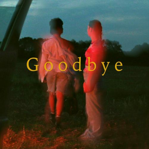 AVAION feat. Sam Welch - Goodbye