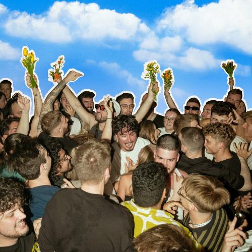 AVAION - Not Sorry