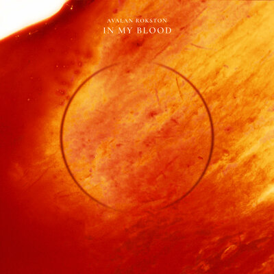 In My Blood - AVALAN ROKSTON
