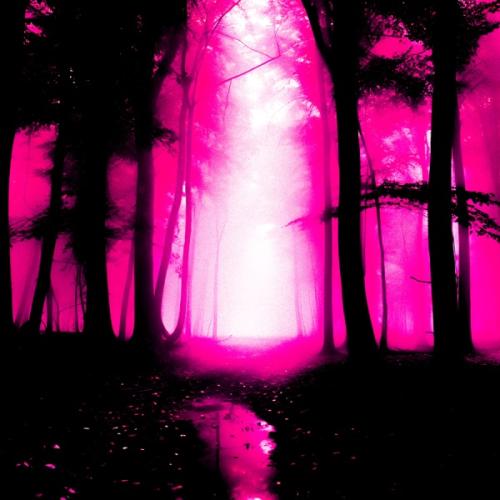 AVTOZVUK - MISTERY