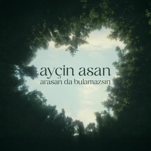 Ayçin Asan - Arasan Da Bulamazsın