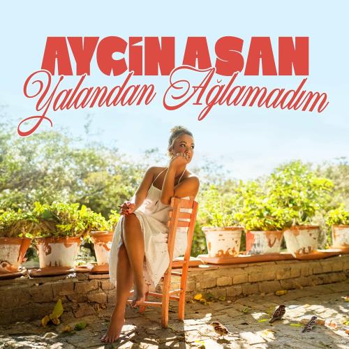 Ayçin Asan - Yalandan Ağlamadım