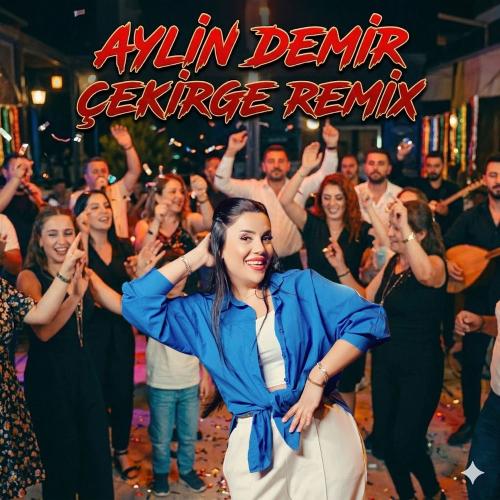 Aylin Demir - Çekirge _ Oyun Havası (Remix)