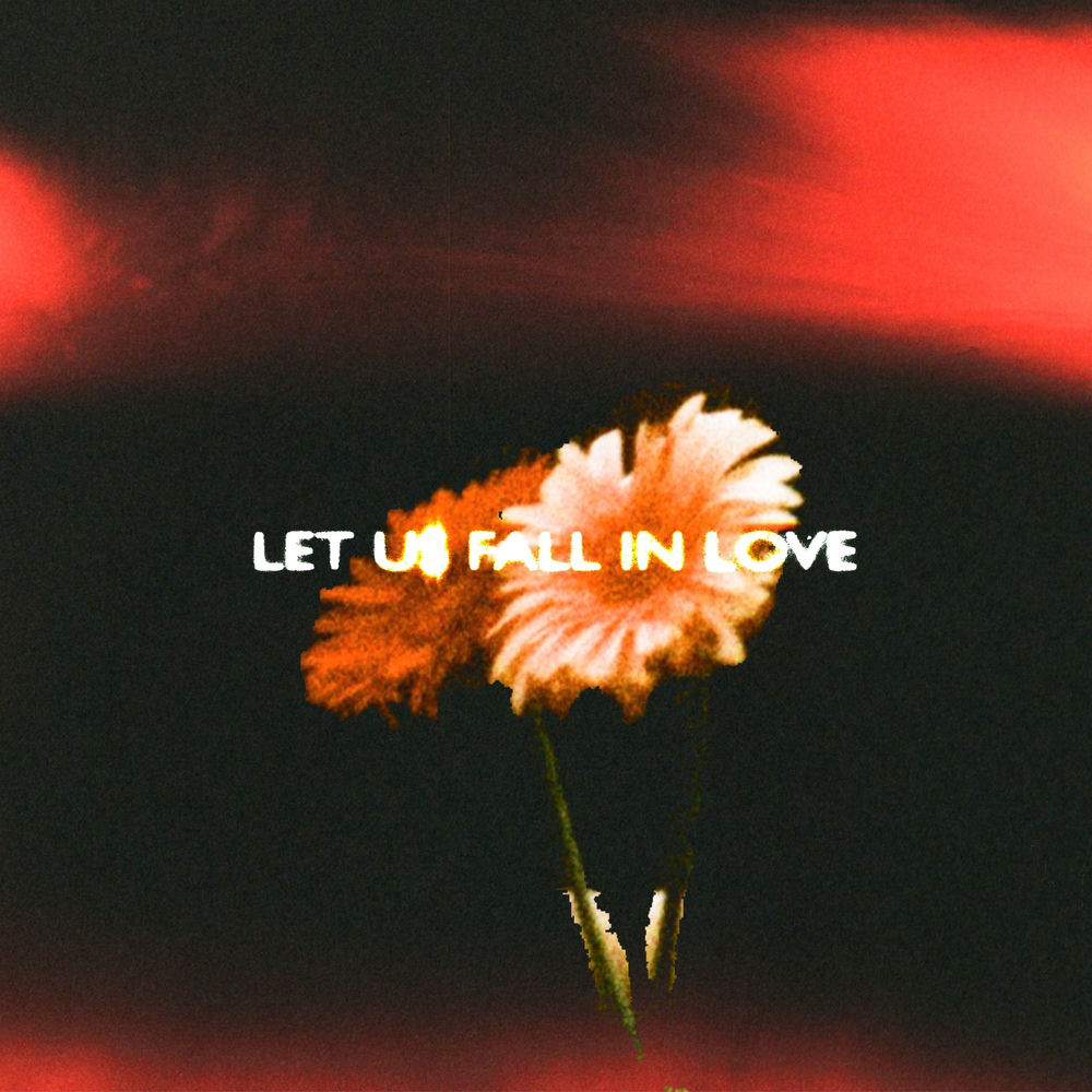 Let Us Fall In Love - ayokay