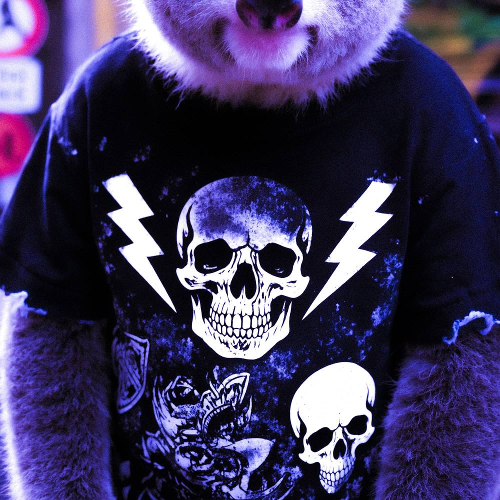 BABY KOALA - PUNK