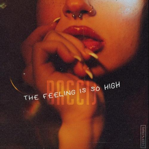 Baccij - The Feeling Is So High