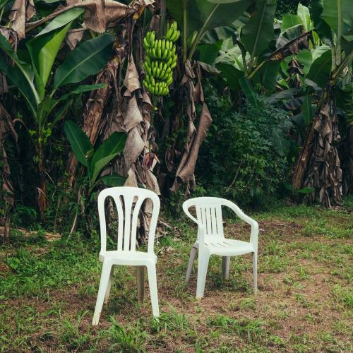 Bad Bunny - Eoo