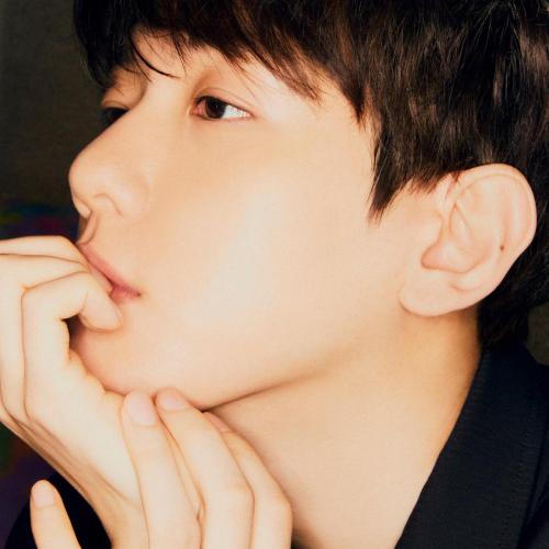 BAEKHYUN - Bambi