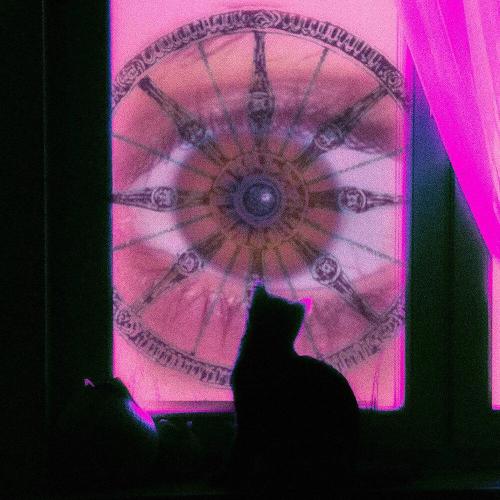 БАНДАЖ - РУТИНА