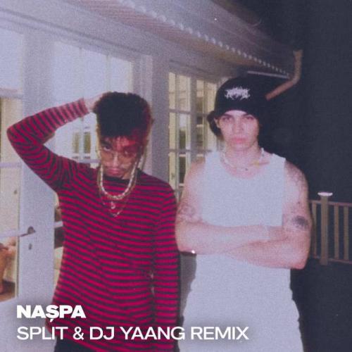 Banger Tunes - Nașpa (Split & Dj Yaang Remix)