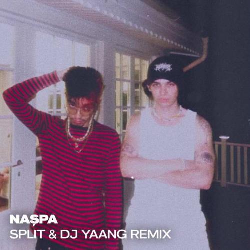 Banger Tunes - Nașpa