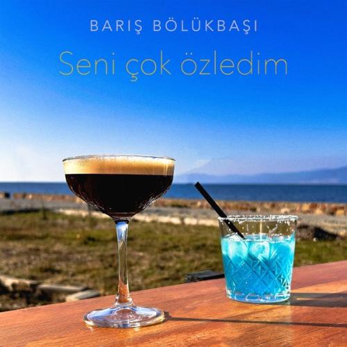 Seni Çok Özledim - Barış Bölükbaşı