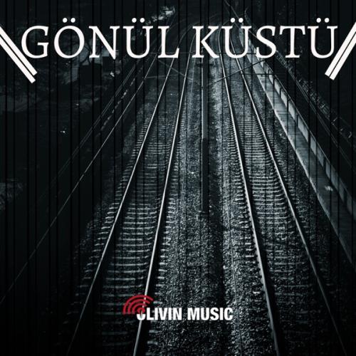 Gönül Küstü - Barış Erol