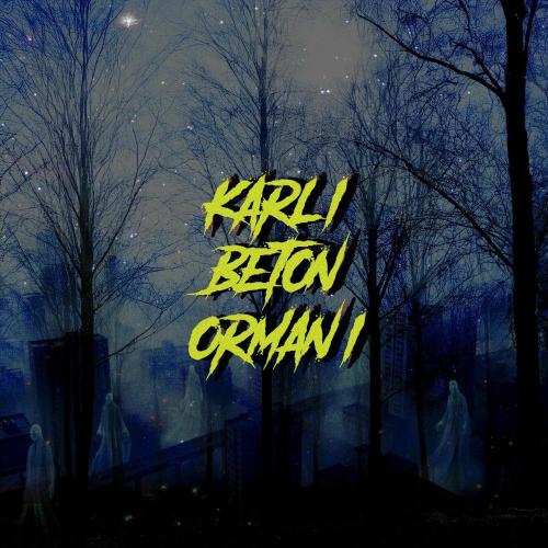 Karlı Beton Ormanı - Barni Barnas feat. Müfred