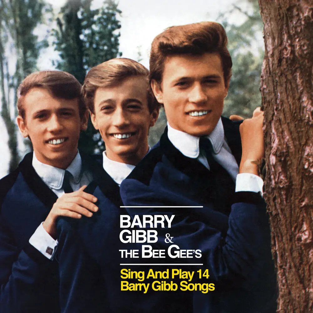 You Wouldn't Know - Barry Gibb, Bee Gees