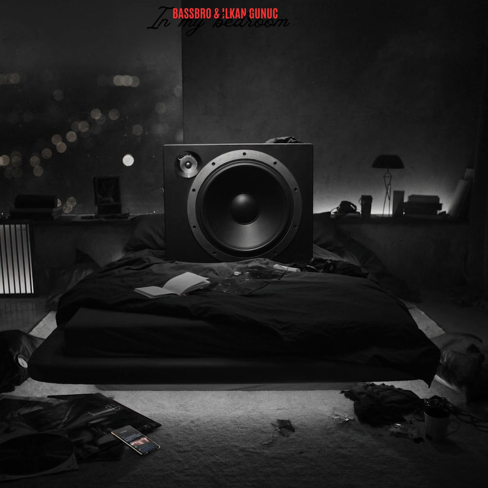 In My Bedroom - BASSBRO & Ilkan Gunuc