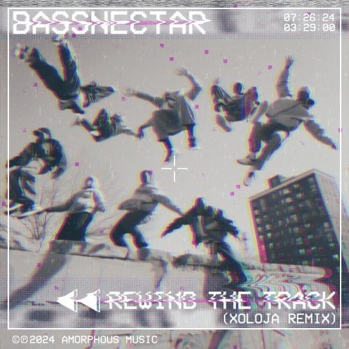Bassnectar feat. Ashel Seasunz - Elastic