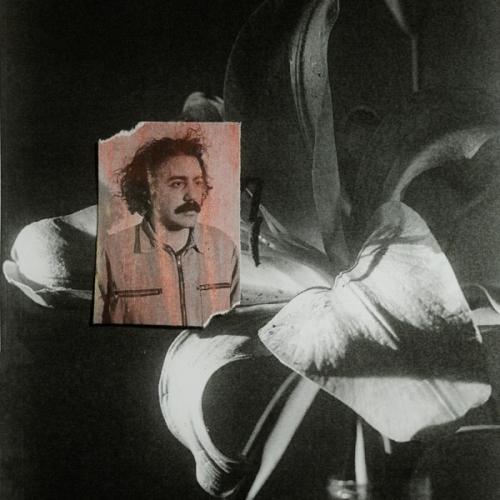 Tane Tane - Batuhan Polat
