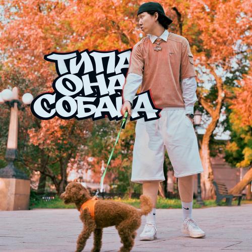 Типо Она Собака - Bazar Jackson
