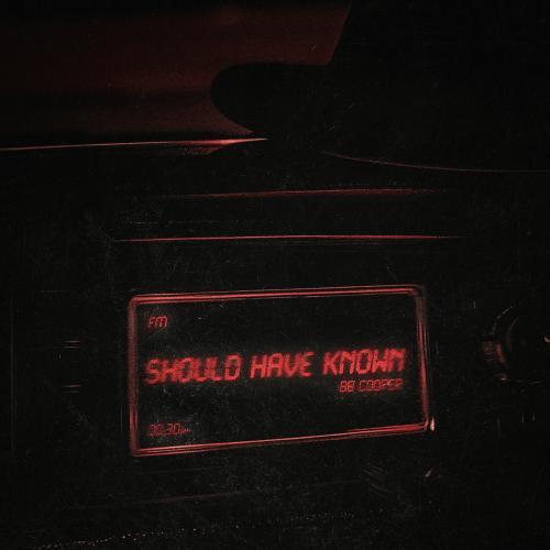 BB Cooper - Should Have Known
