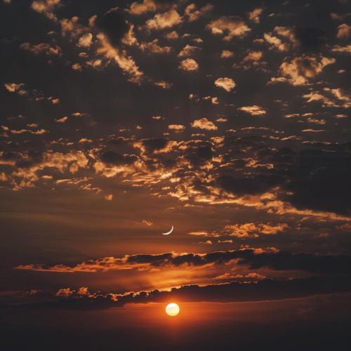 Bcalm - A Little Hope
