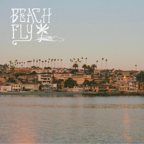 Beach Fly - Breaking News (feat. Man of the Forests)