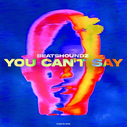 BeatsHoundz - You Can't Say