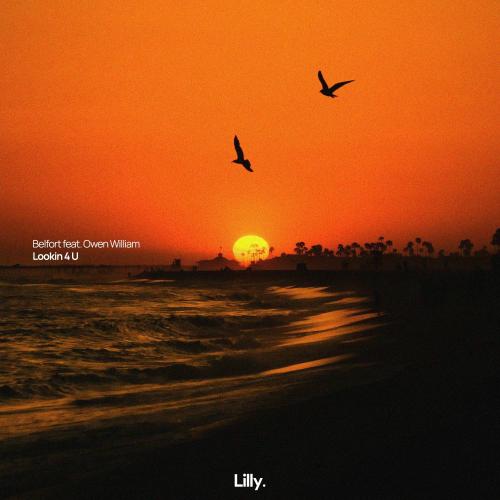 BELFORT & Owen William - Lookin 4 U