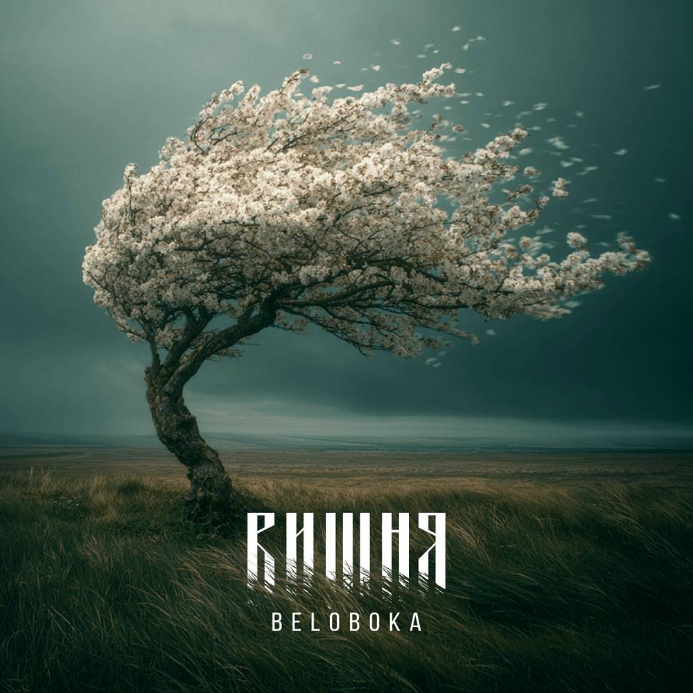 Вишня - BELOBOKA