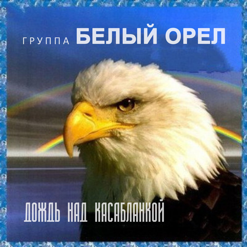 Крик на морском берегу - Белый орёл