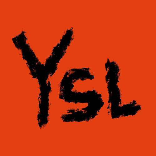 бьюти YSL - berezhnov