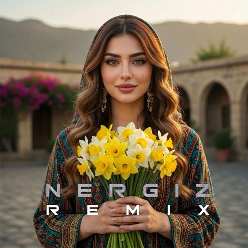 Berivan Arya feat. Rıdvan Yıldırım - Nergiz (Remix)