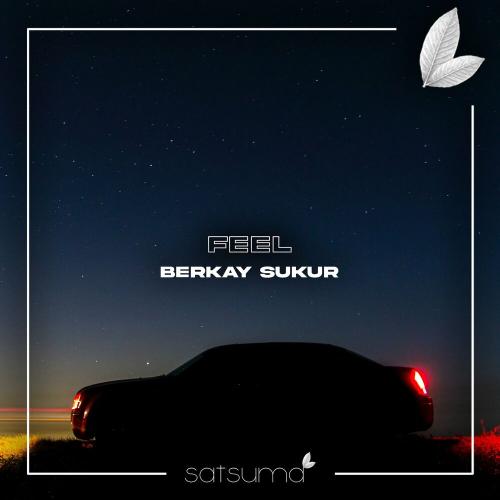 Berkay Şükür - Feel