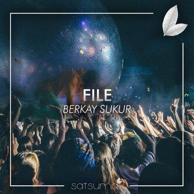 Berkay Şükür - File