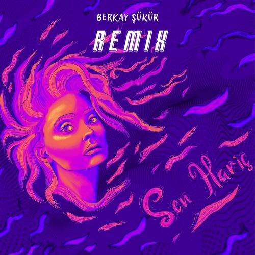 Berkay Şükür - Sen Hariç (Remix)