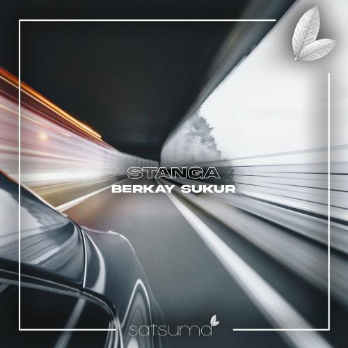 Berkay Şükür - Stanga