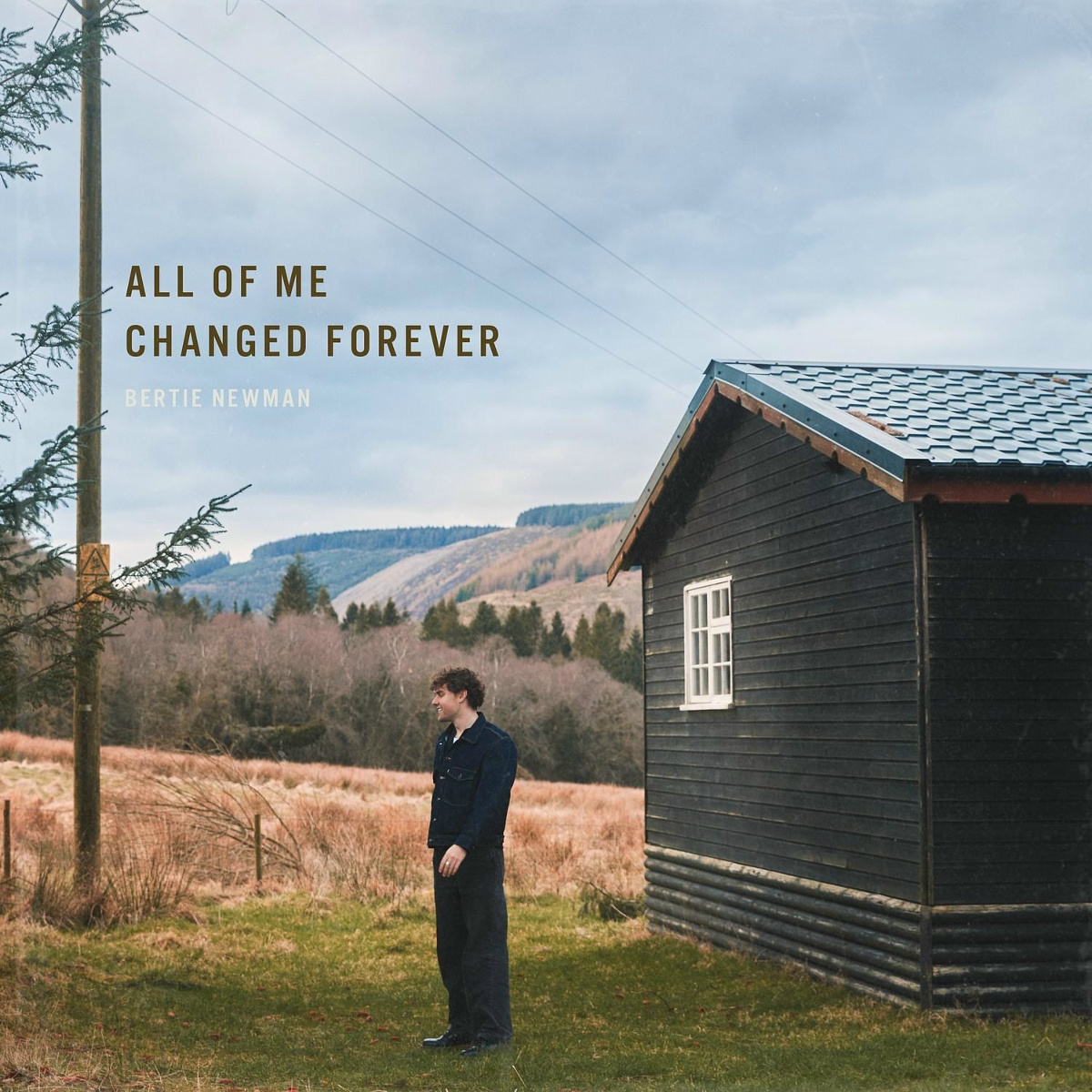 All of Me Changed Forever - Bertie Newman