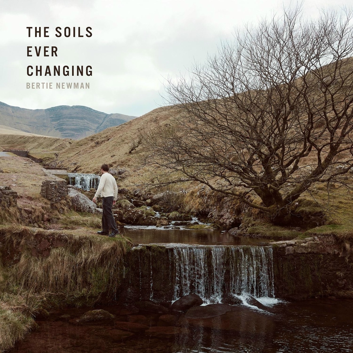 The Soils Ever Changing - Bertie Newman
