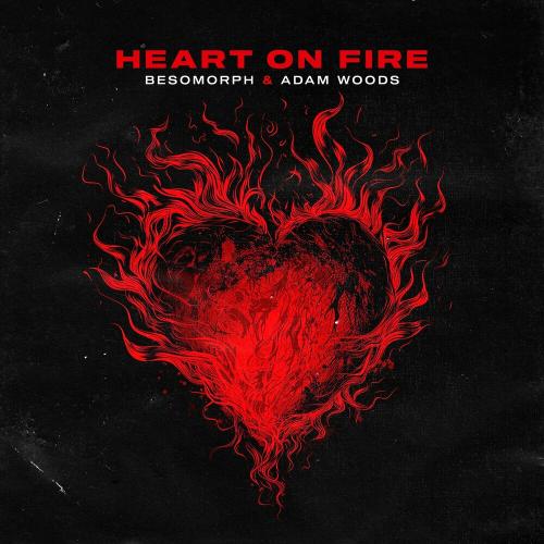 Besomorph feat. Adam Woods - Heart On Fire