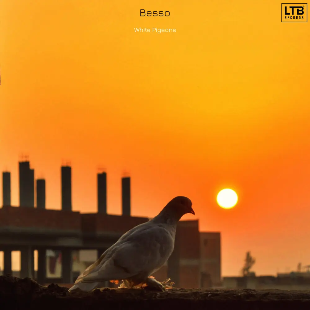White Pigeons - Besso