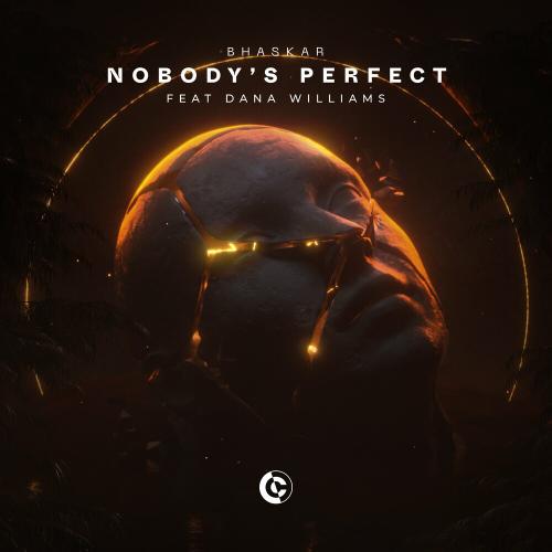 Bhaskar feat. Dana Williams - Nobody's Perfect