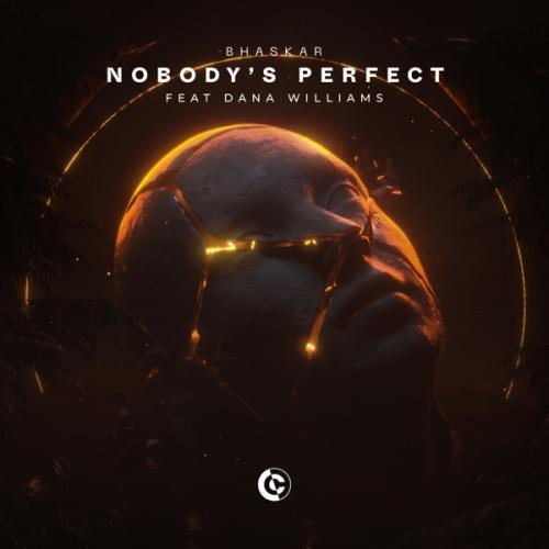 Bhaskar - Nobodys Perfect (feat Dana Williams)